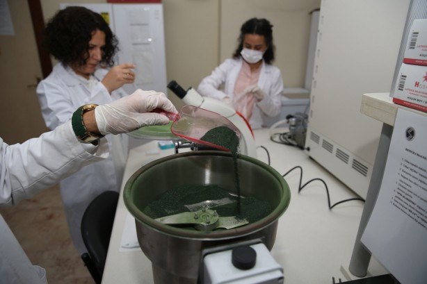 Foto - Geleceğin besini Türkiye'de üretiliyor! NASA her an kapımızı çalabilir