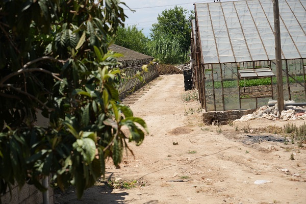 Foto - Gelecek adına korkutan gerçek! Sadece 19 yılda 100 bin futbol sahası büyüklüğünde tarım alanı kaybedildi