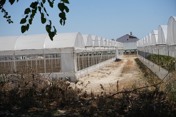 Foto - Gelecek adına korkutan gerçek! Sadece 19 yılda 100 bin futbol sahası büyüklüğünde tarım alanı kaybedildi
