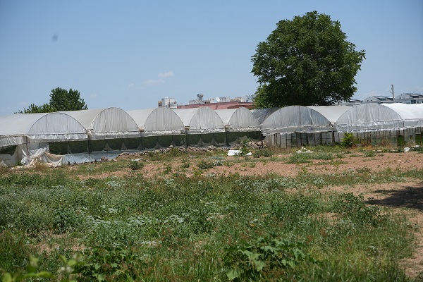 Foto - Gelecek adına korkutan gerçek! Sadece 19 yılda 100 bin futbol sahası büyüklüğünde tarım alanı kaybedildi