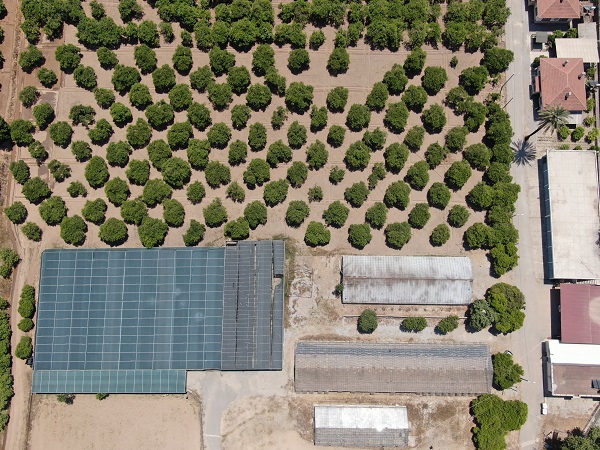 Foto - Gelecek adına korkutan gerçek! Sadece 19 yılda 100 bin futbol sahası büyüklüğünde tarım alanı kaybedildi