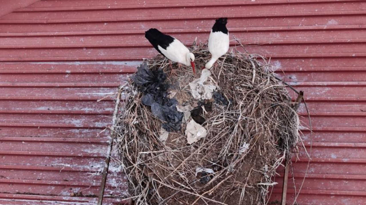Gelenek yine bozulmadı: “Leylekli okul” misafirlerine kavuştu