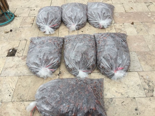 Foto - Geleneksel lezzetlerin adresi: Şire Pazarı