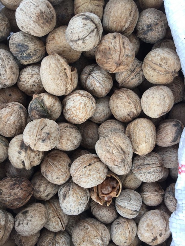 Foto - Geleneksel lezzetlerin adresi: Şire Pazarı