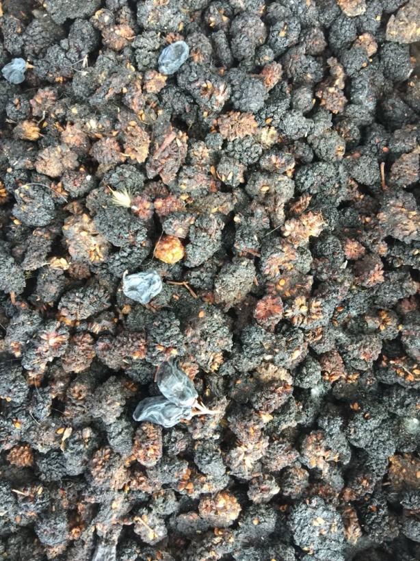 Foto - Geleneksel lezzetlerin adresi: Şire Pazarı