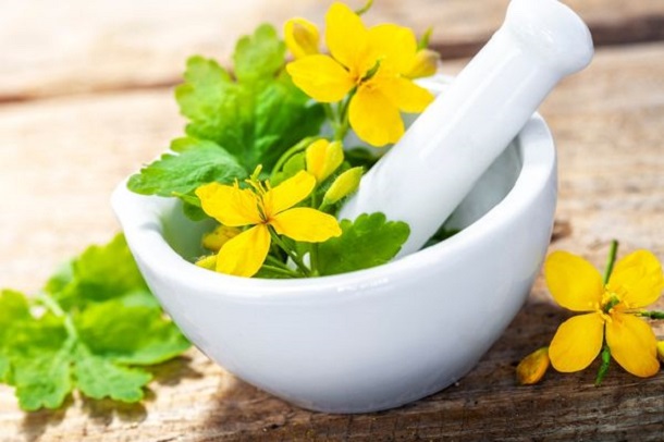 Geleneksel tıbbın vazgeçilmezi! Göz ağrısından sinüzite kadar iyi gelmediği hastalık yok