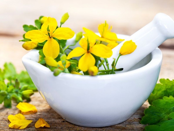 Foto - Geleneksel tıbbın vazgeçilmezi! Göz ağrısından sinüzite kadar iyi gelmediği hastalık yok