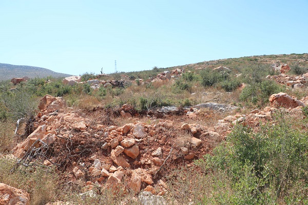 Foto - Geleneksel yöntemlere göre 4 kat başarılı! Çorak arazi bu yöntemle 3 kat fazla verim sağladı