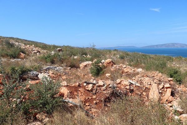 Foto - Geleneksel yöntemlere göre 4 kat başarılı! Çorak arazi bu yöntemle 3 kat fazla verim sağladı