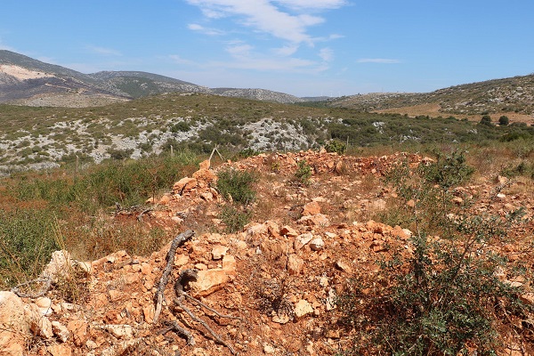 Foto - Geleneksel yöntemlere göre 4 kat başarılı! Çorak arazi bu yöntemle 3 kat fazla verim sağladı