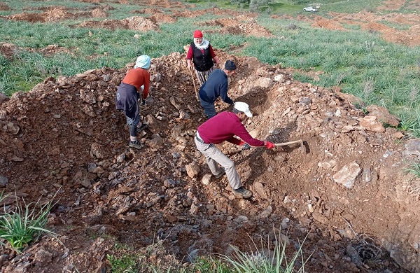 Foto - Geleneksel yöntemlere göre 4 kat başarılı! Çorak arazi bu yöntemle 3 kat fazla verim sağladı