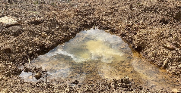 Geleneksel yöntemlere göre 4 kat başarılı! Çorak arazi bu yöntemle 3 kat fazla verim sağladı