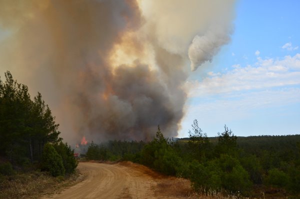 Foto - Gelibolu Yarımadası'nda korkunç yangın! Dehşete düşüren görüntüler
