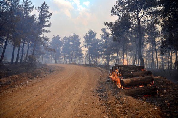 Foto - Gelibolu Yarımadası'nda korkunç yangın! Dehşete düşüren görüntüler