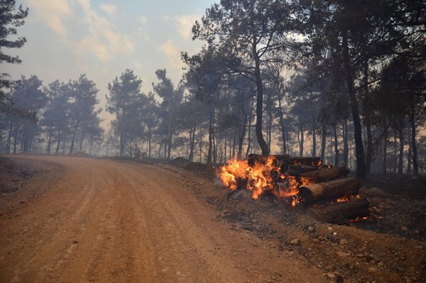 Foto - Gelibolu Yarımadası'nda korkunç yangın! Dehşete düşüren görüntüler
