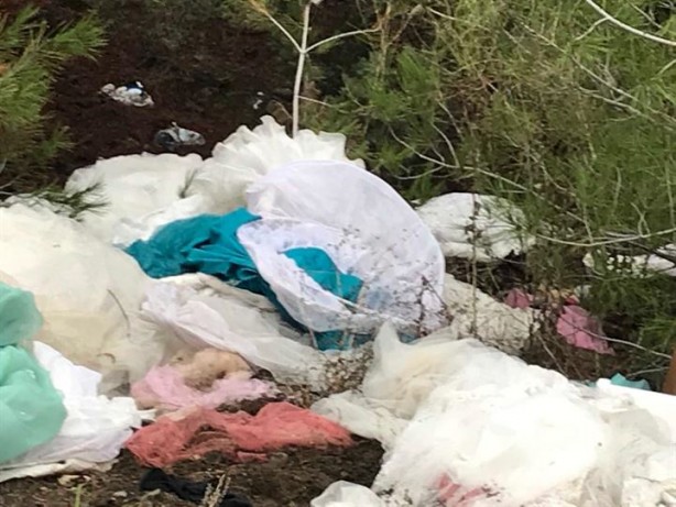 Foto - Gelinlikler ormanlık alanda bu halde bulundu