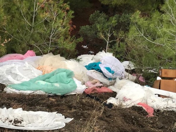 Foto - Gelinlikler ormanlık alanda bu halde bulundu