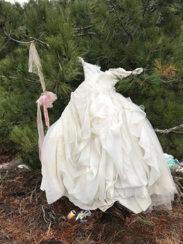 Foto - Gelinlikler ormanlık alanda bu halde bulundu