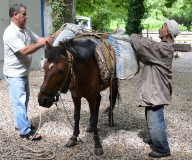 Foto - Gelişen teknolojiye adeta kafa tutuyor! Antalya’da merak uyandıran görüntüler