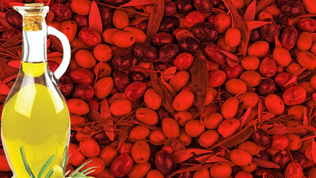 Foto - Gelişme gündemi sarsmıştı! O zeytinyağı aslında Türk markası değilmiş