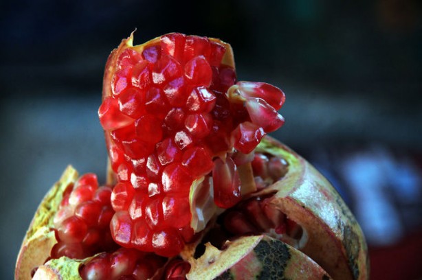 Foto - Gelmiş geçmiş en sağlıklı 50 besin sıralandı
