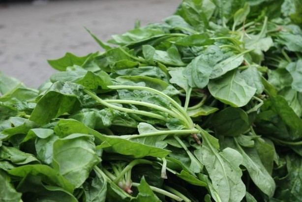 Foto - Gelmiş geçmiş en sağlıklı 50 besin sıralandı