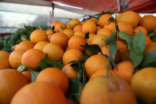 Foto - Gelmiş geçmiş en sağlıklı 50 besin sıralandı
