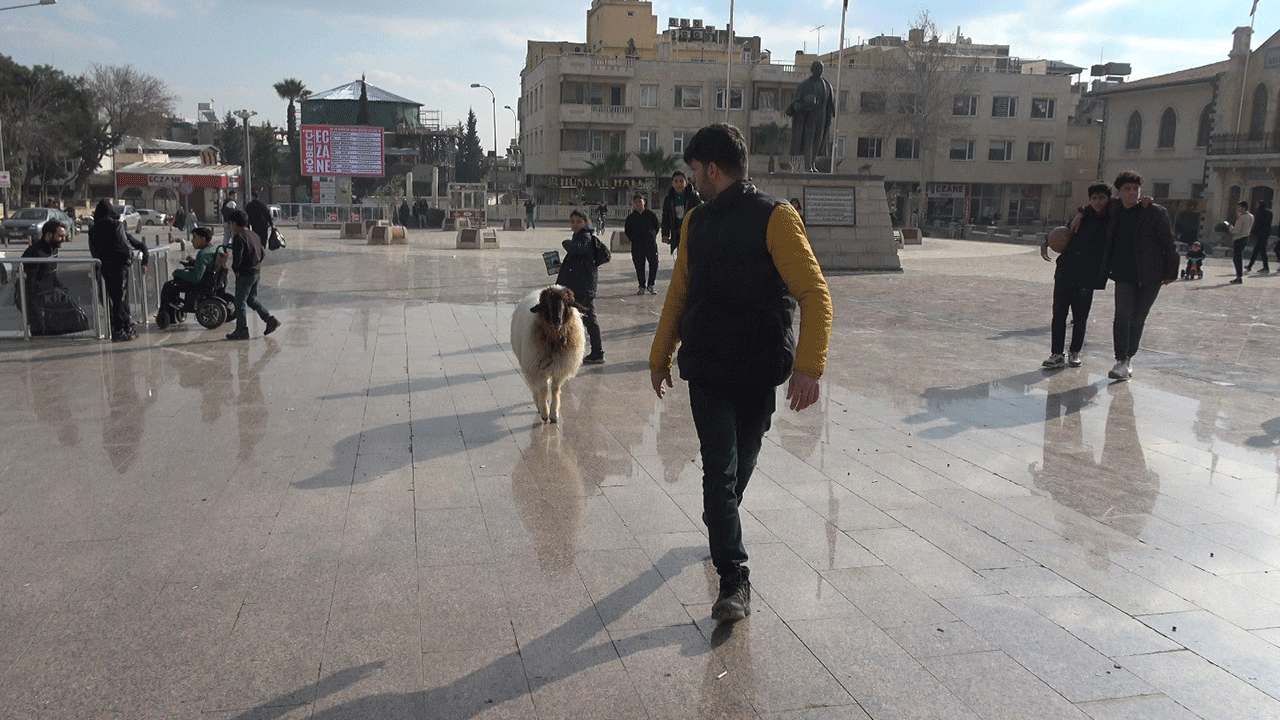 Foto - Genç adam ve en yakın arkadaşı görenleri gülümsetti