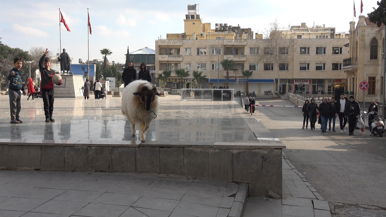 Foto - Genç adam ve en yakın arkadaşı görenleri gülümsetti