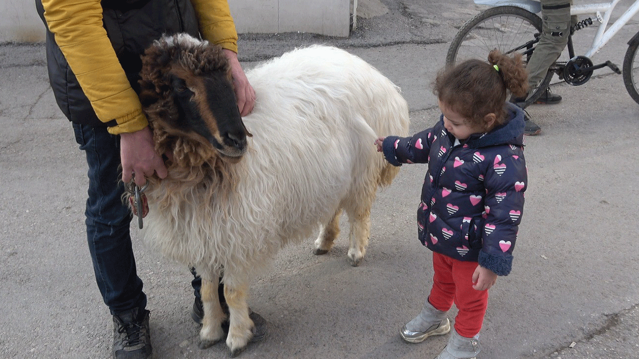 Foto - Genç adam ve en yakın arkadaşı görenleri gülümsetti
