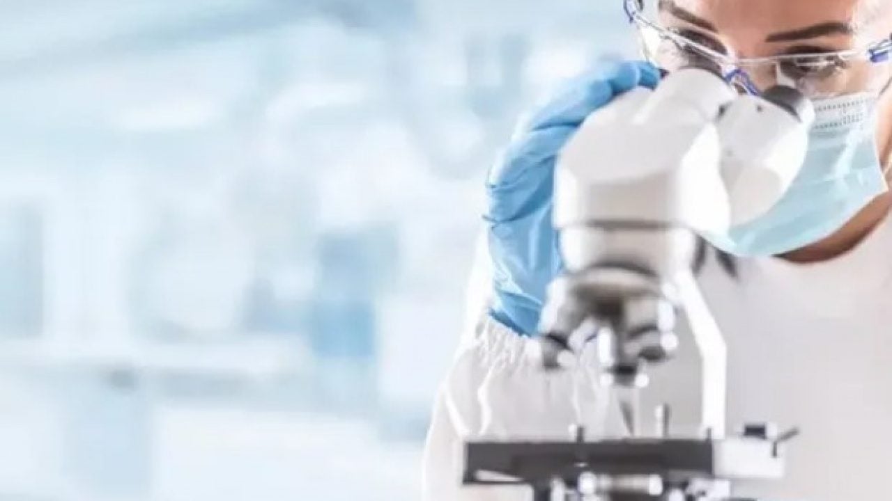 Foto - Genç bilim insanından şaşırtan proje! Hamburger tadında domates tasarlıyor