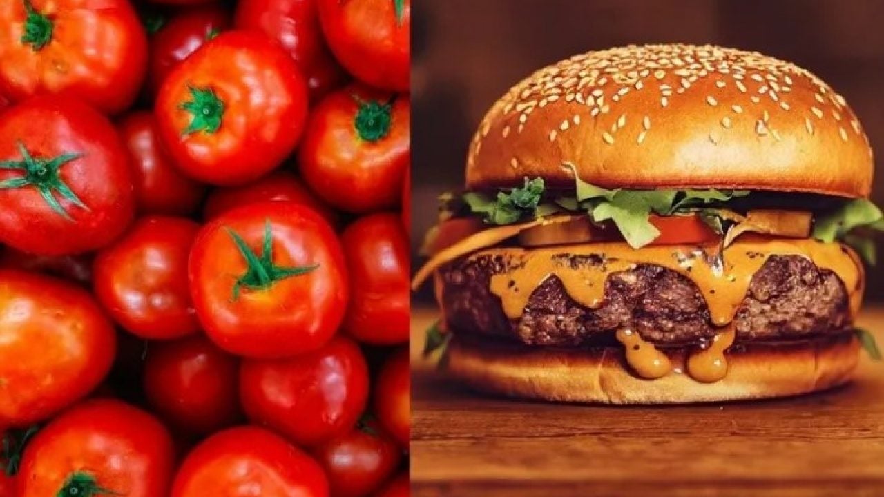 Foto - Genç bilim insanından şaşırtan proje! Hamburger tadında domates tasarlıyor