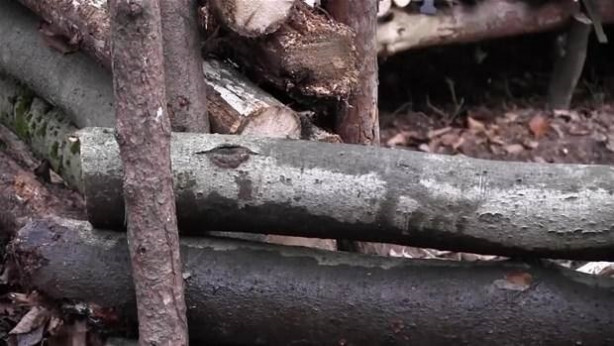 Foto - Genç kadın öyle bir şey yaptı ki...