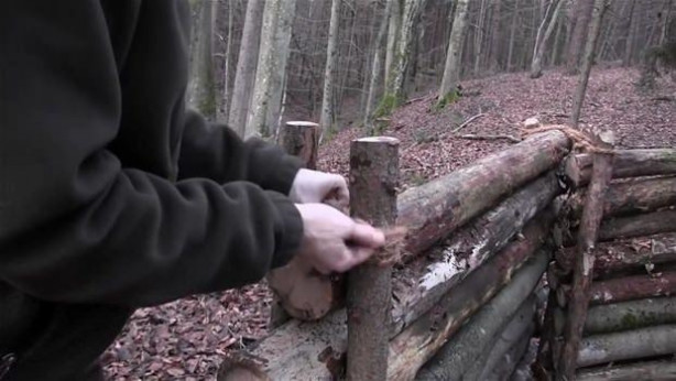 Foto - Genç kadın öyle bir şey yaptı ki...