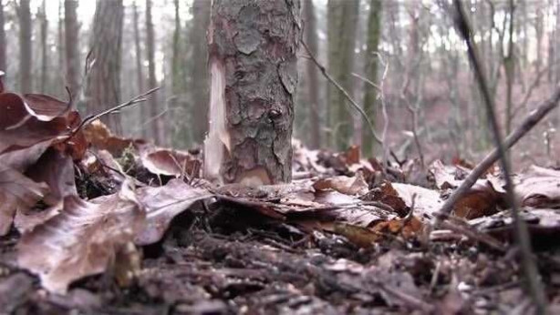 Foto - Genç kadın öyle bir şey yaptı ki...