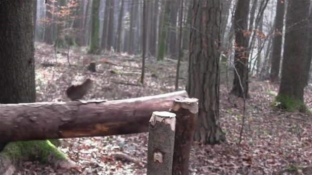Foto - Genç kadın öyle bir şey yaptı ki...