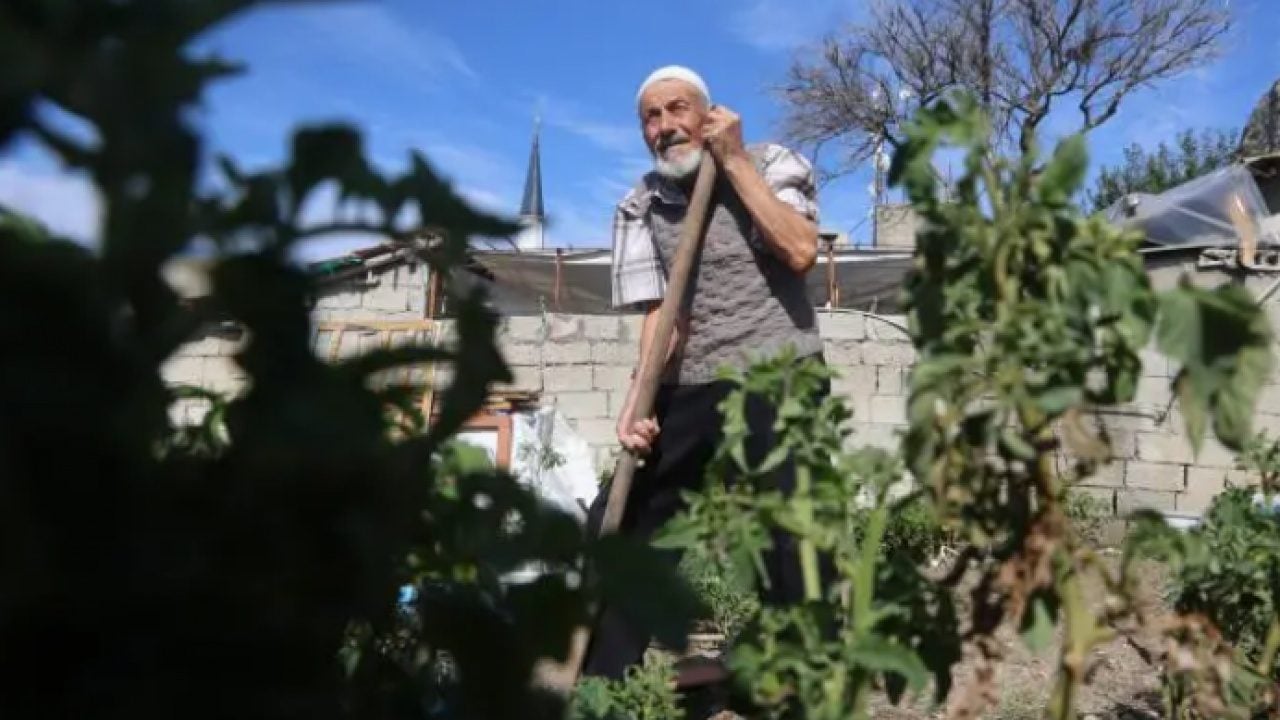 Gençlere örnek olsun: 90 yaşında yaptığı takdir topladı!