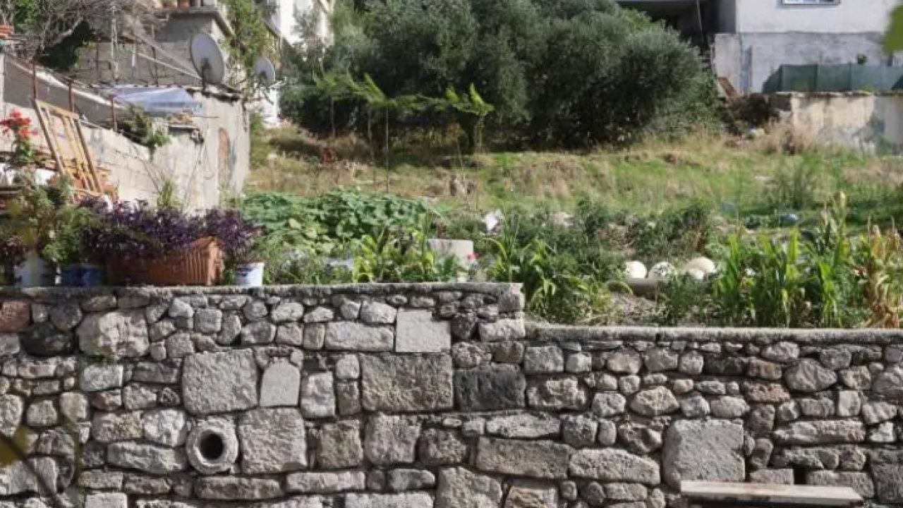 Foto - Gençlere örnek olsun: 90 yaşında yaptığı takdir topladı!