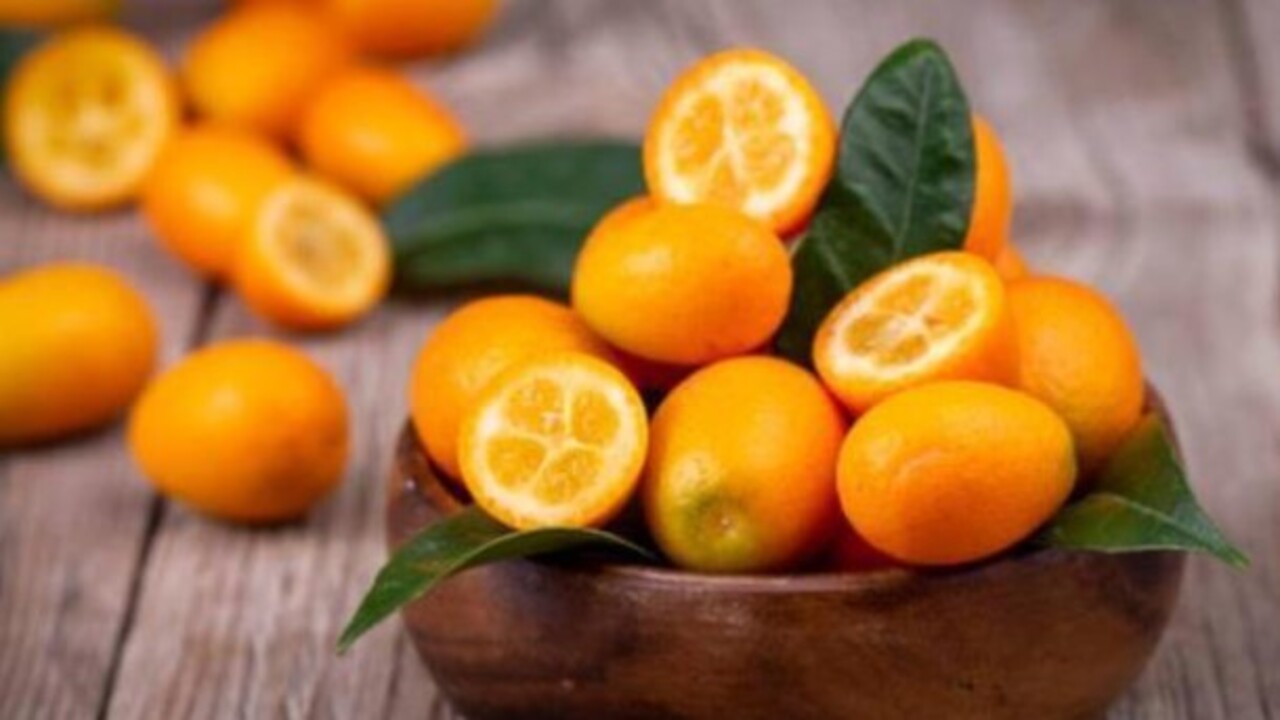 Foto - Gençliğin sırrı bu meyvenin içinde saklı! Minicik boyuyla o hastalığa şifa oluyor