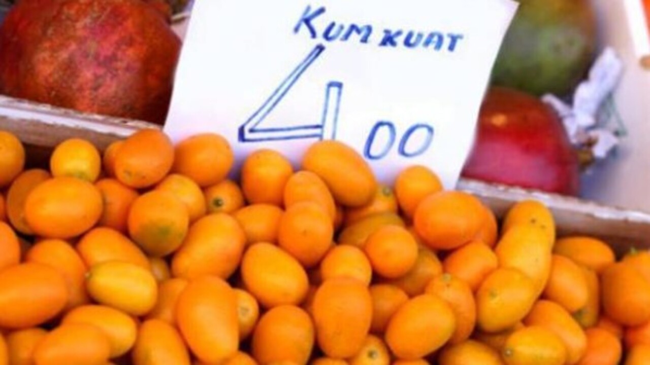 Foto - Gençliğin sırrı bu meyvenin içinde saklı! Minicik boyuyla o hastalığa şifa oluyor