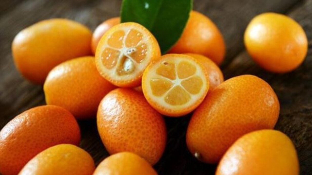 Gençliğin sırrı bu meyvenin içinde saklı! Minicik boyuyla o hastalığa şifa oluyor
