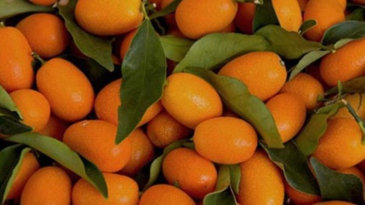 Foto - Gençliğin sırrı bu meyvenin içinde saklı! Minicik boyuyla o hastalığa şifa oluyor