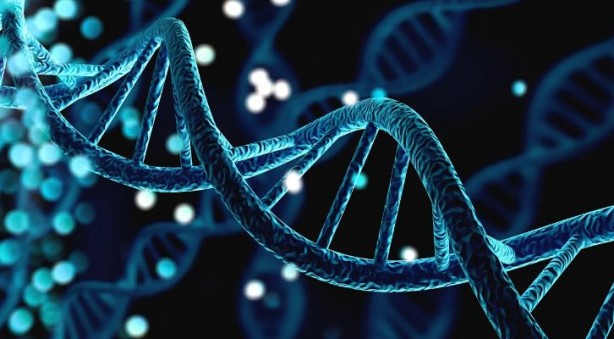 Genetik alanında çığır açan gelişme