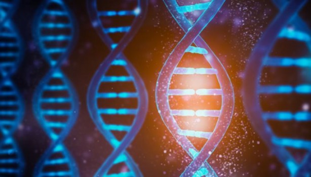 Foto - Genetik alanında çığır açan gelişme