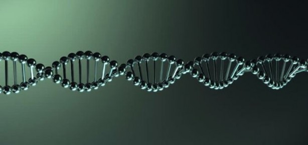 Foto - Genetik alanında çığır açan gelişme