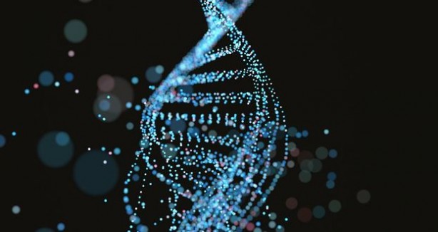 Foto - Genetik alanında çığır açan gelişme