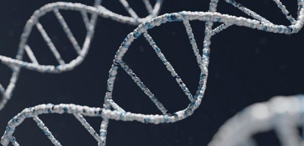 Foto - Genetik alanında çığır açan gelişme