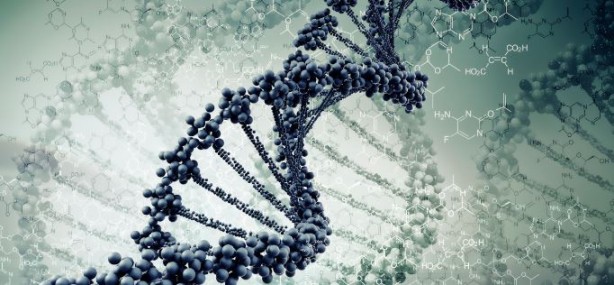 Foto - Genetik alanında çığır açan gelişme