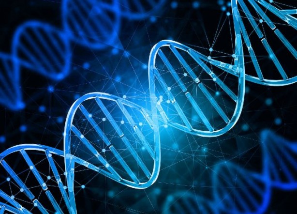 Foto - Genetik alanında çığır açan gelişme