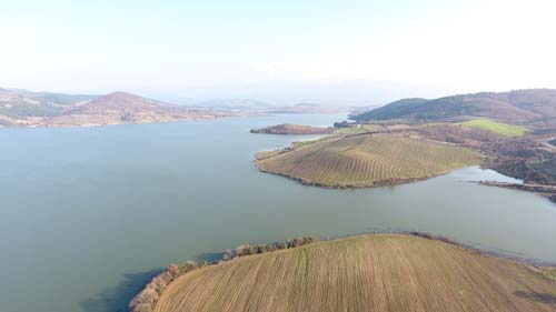 Foto - Geniş ağızlı ve keskin dişli! Tüm balıkçıların kabusu oldu